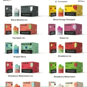Pacha Mama 4500 ( 10 Pack )
